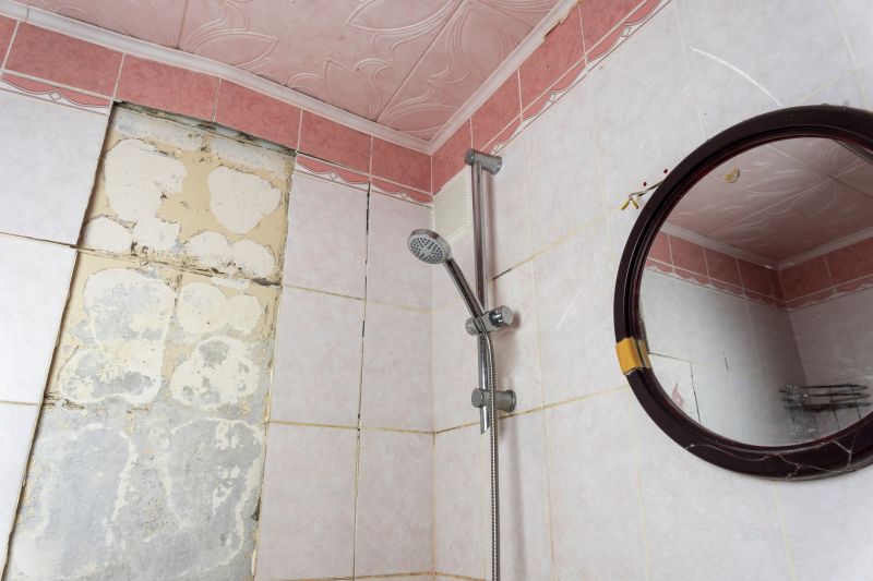 Top Shower Remodeling Companies in Rosenberg, TX